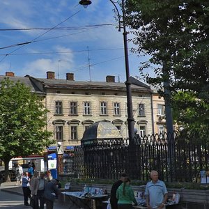 Horodotska vulytsia, 102, Lviv: photo