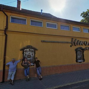 Vulytsia Dukhnovycha, No:30/2, Mukaçeve: Fotoğraflar