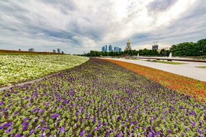 Москва, Площадь Победы, 3: фото