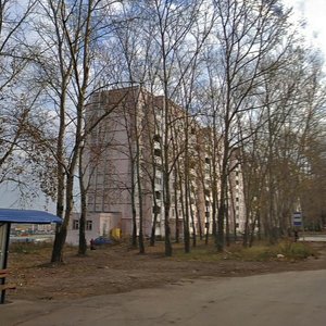 Bolshaya Street, 106к2, Ryazan: photo