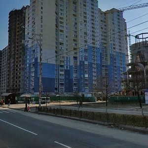 Maryny Tsvietaievoi Street, 5, Kyiv: photo
