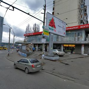 Velyka Vasylkivska Street, 145/1, Kyiv: photo