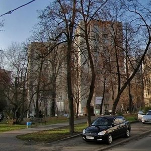 Olesia Honchara Street, No:52, Kiev: Fotoğraflar