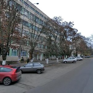 Preobrazhenska Street, 25, Kyiv: photo