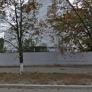 Pshenychna Street, 2В, Kyiv: photo