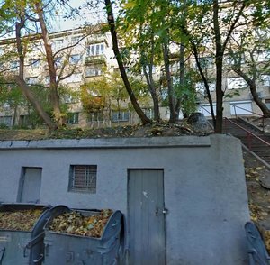 Kostya Hordieka Lane, 8А, Kyiv: photo