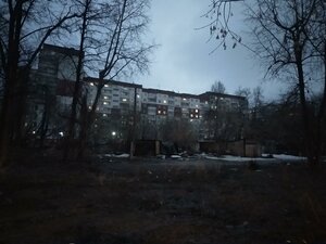 Karpinskogo Street, 11, Perm: photo
