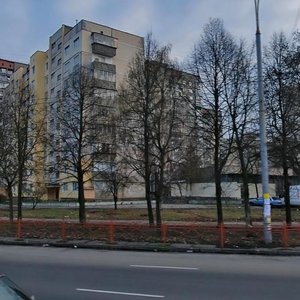 Heorhiia Honhadze Avenue, 26, Kyiv: photo