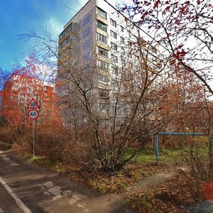 Internatsionalnaya Street, 25, Ryazan: photo