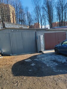 SNT Ivushka-3, 8, : foto