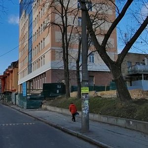Bahhovutivska Street, 23, : foto
