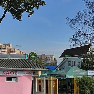 Tsentralna vulytsia, 6В ، : صورة