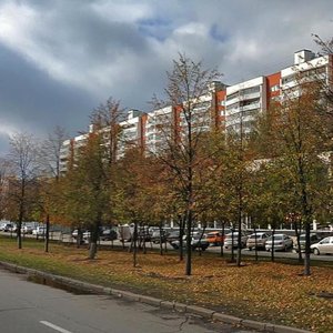Mira Avenue, 31А ، نابريجني تشيلني: صورة