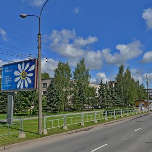 Bolshaya Moskovskaya Street, 67, : foto