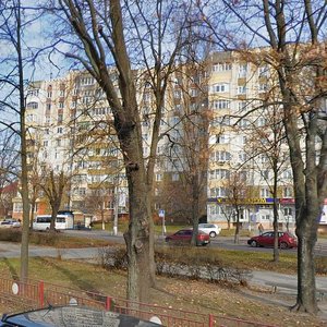 Белая Церковь, Александрийский бульвар, 20: фото