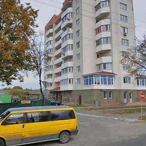 Vulytsia Kyivskyi Shliakh, 1Дк1, Boryspil: photo