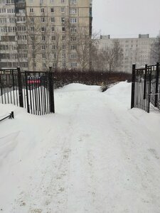 Kollontay Street, 11к1 ، سان بطرسبرغ: صورة
