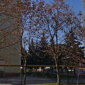 Partizanskaya ulitsa, 1Г, : foto