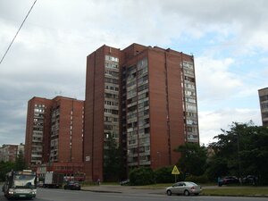 Udarnikov Avenue, 17к1, Saint Petersburg: photo