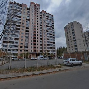 Lesia Kurbasa Avenue, 1к1, Kyiv: photo