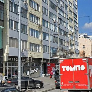 Velyka Vasylkivska Street, 80, Kyiv: photo