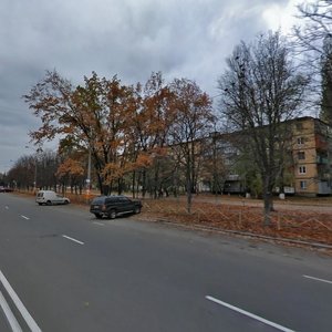 Koltsova Boulevard, 24, Kyiv: photo