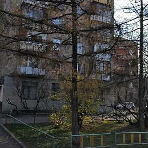 Vsevoloda Vishnevskogo Street, 9, Moscow: photo