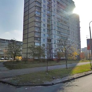 Serzha Lyfaria Street, 22/52, Kyiv: photo