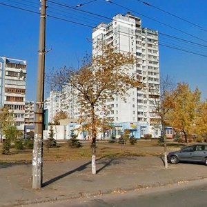 Volodymyra Maiakovskoho Avenue, 25А, Kyiv: photo