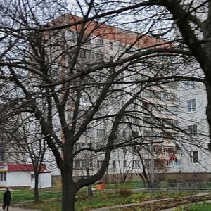 Kaulya Street, 9, Tula: photo