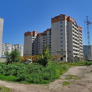 Vulytsia Lypynskoho, 7, Lutsk: photo