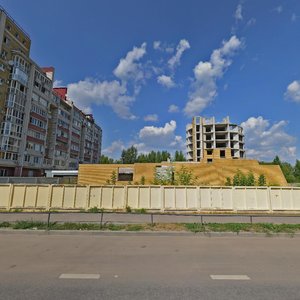 Воронеж, Большая Стрелецкая улица, 20Д: фото