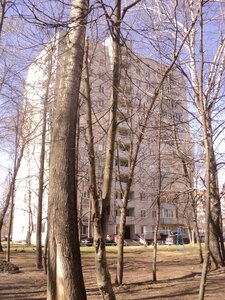 Mira Avenue, 33 ، : صورة