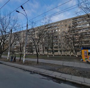 Svobody Avenue, 28, Kyiv: photo