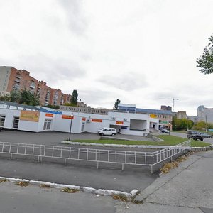 Naberezhna vulytsia, 8А, Vyshhorod: photo