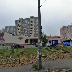 Vadyma Hetmana Street, 40А, Kyiv: photo