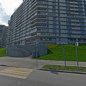 Severnoye Chertanovo Microdistrict, 2к201, Moscow: photo