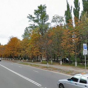 Heroiv Sevastopolia Street, 7, : foto