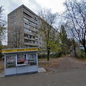 Anatoliia Solovianenka Street, 8, Kyiv: photo