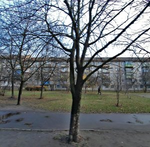 Liubomyra Huzara Avenue, 18/25, Kyiv: photo