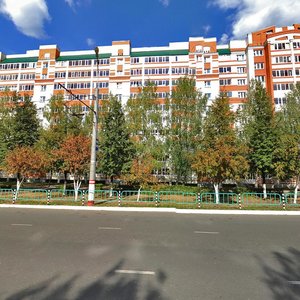 Ulyanova Street, 95, Saransk: photo