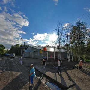 Shkolnaya ulitsa, 104, Arkhangelsk: photo