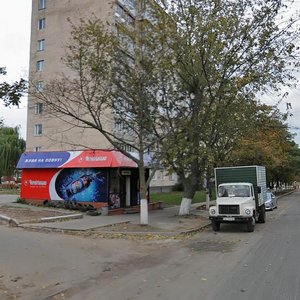 Ivana Mazepy Avenue, 13/9, Vyshhorod: photo