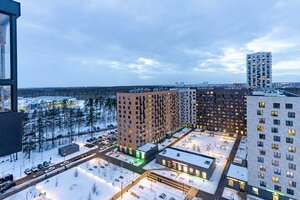Санкт‑Петербург, Орлово-Денисовский проспект, 19к3: фото