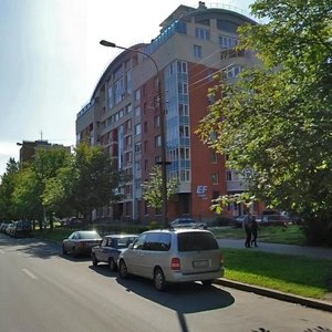 Tankista Khrustitskogo Street, 9, Saint Petersburg: photo