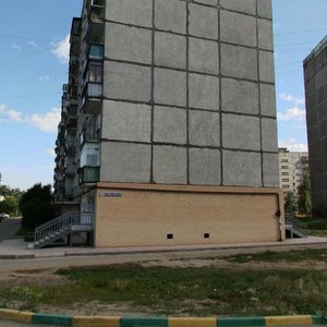 Нижний Новгород, Улица Ефима Рубинчика, 19: фото