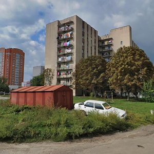 Vulytsia Hrushevskoho, 1, Brovary: photo