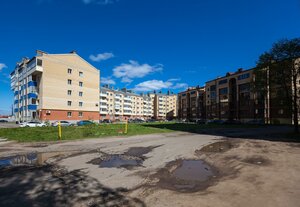 Volzhskaya naberezhnaya, 209 ، : صورة