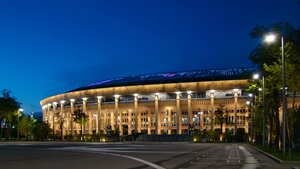 Luzhniki Street, 24с1, Moscow: photo