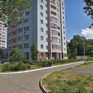 Budarina Street, 3В, Kyiv: photo